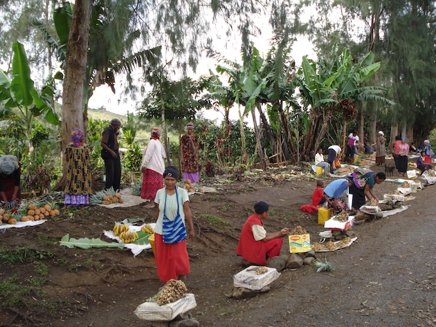 CEWilson-Image-2-Women-Rural-Markets-Hela-Province-PNG-Highlands.jpg